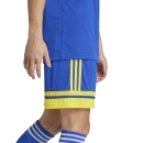 SQUADRA 25 Short  ROYAL BLUE/TEAM YELLOW