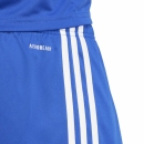 SQUADRA 25 Short  ROYAL BLUE