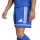 SQUADRA 25 Short  ROYAL BLUE