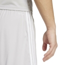 SQUADRA 25 Short hellgrau