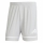 SQUADRA 25 Short TEAM LIGHT GREY/TEAM LIGHT GREY/WHITE