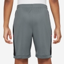 Youth-Short Academy 25 cool grey