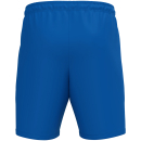 Training shorts One royal