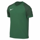 Jersey TROPHY VI pine green/gorge green