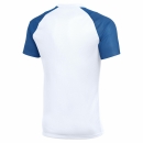 Jersey ACADEMY II white/royal blue