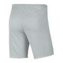 PARK III Short nebelgrau