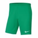 PARK III Short stadium green