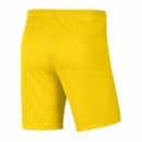 PARK III Short lightening