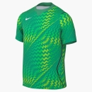 Goalkeeper Jersey GARDIEN VI shortsleeve stadium green