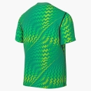 Goalkeeper Jersey GARDIEN VI shortsleeve stadium green