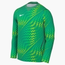 Goalkeeper Jersey GARDIEN VI stadium green