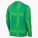 Goalkeeper Jersey GARDIEN VI stadium green