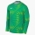 Goalkeeper Jersey GARDIEN VI stadium green