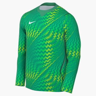 Goalkeeper Jersey GARDIEN VI stadium green
