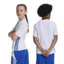 TABELA 23 Kinder-Trikot WHITE/ROYAL BLUE