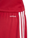 SQUADRA 25 Youth Short TEAM POWER RED/WHITE