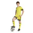 SQUADRA 25 Youth Short TEAM YELLOW/BLACK