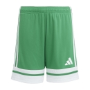 SQUADRA 25 Kinder-Short TEAM GREEN/WHITE