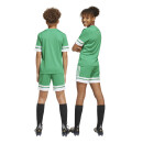 SQUADRA 25 Kinder-Short TEAM GREEN/WHITE