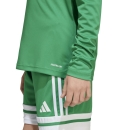 SQUADRA 25 Youth Jersey longsleeve TEAM GREEN/WHITE