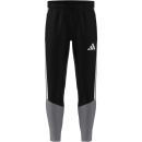 TIRO 26 COMPETITON Training pants BLACK/LIGHT ONIX/WHITE