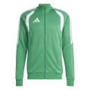 TIRO 26 LEAGUE Training jacket TEAM GREEN/WHITE