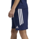 TIRO 26 LEAGUE Youth Sweat short TEAM NAVY BLUE/WHITE