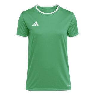 ENTRADA 26 Womens Jersey TEAM GREEN/WHITE