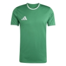 ENTRADA 26 Jersey TEAM GREEN/WHITE