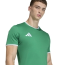 ENTRADA 26 Jersey TEAM GREEN/WHITE