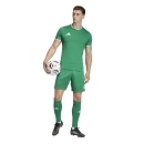 ENTRADA 26 Trikot TEAM GREEN/WHITE