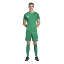 ENTRADA 26 Trikot TEAM GREEN/WHITE