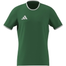 ENTRADA 26 Trikot TEAM GREEN/WHITE