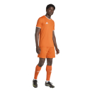 ENTRADA 26 Jersey TEAM ORANGE/WHITE