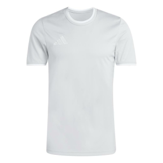 ENTRADA 26 Trikot TEAM LIGHT GREY/WHITE