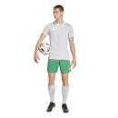 ENTRADA 26 Trikot TEAM LIGHT GREY/WHITE