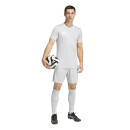 ENTRADA 26 Short TEAM LIGHT GREY/WHITE