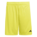 ENTRADA 26 Short TEAM YELLOW/BLACK