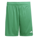 ENTRADA 26 Short TEAM GREEN/WHITE