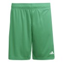 ENTRADA 26 Short TEAM GREEN/WHITE