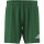 ENTRADA 26 Short TEAM GREEN/WHITE