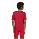 ENTRADA 26 Youth Jersey TEAM POWER RED/WHITE