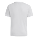 ENTRADA 26 Youth Jersey TEAM LIGHT GREY/WHITE