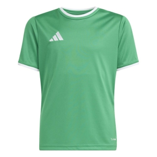 ENTRADA 26 Kinder-Trikot TEAM GREEN/WHITE