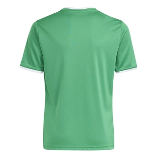 ENTRADA 26 Kinder-Trikot TEAM GREEN/WHITE