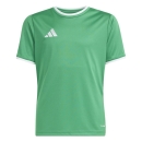 ENTRADA 26 Kinder-Trikot TEAM GREEN/WHITE