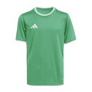 ENTRADA 26 Kinder-Trikot TEAM GREEN/WHITE