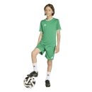 ENTRADA 26 Kinder-Trikot TEAM GREEN/WHITE