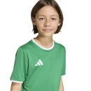 ENTRADA 26 Kinder-Trikot TEAM GREEN/WHITE