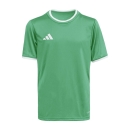 ENTRADA 26 Youth Jersey TEAM GREEN/WHITE